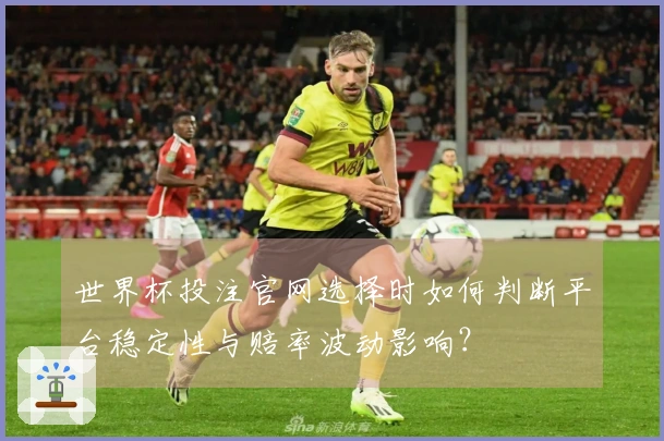 世界杯投注官网选择时如何判断平台稳定性与赔率波动影响？