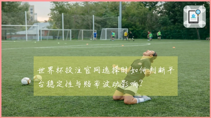 世界杯投注官网选择时如何判断平台稳定性与赔率波动影响？