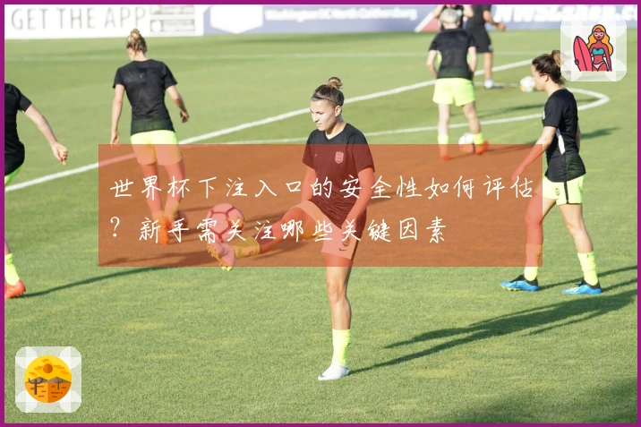 世界杯下注入口的安全性如何评估？新手需关注哪些关键因素