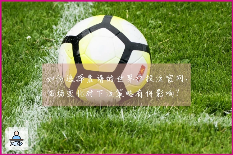 如何选择靠谱的世界杯投注官网，临场变化对下注策略有何影响？