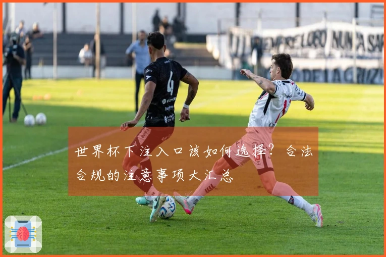 世界杯下注入口该如何选择？合法合规的注意事项大汇总