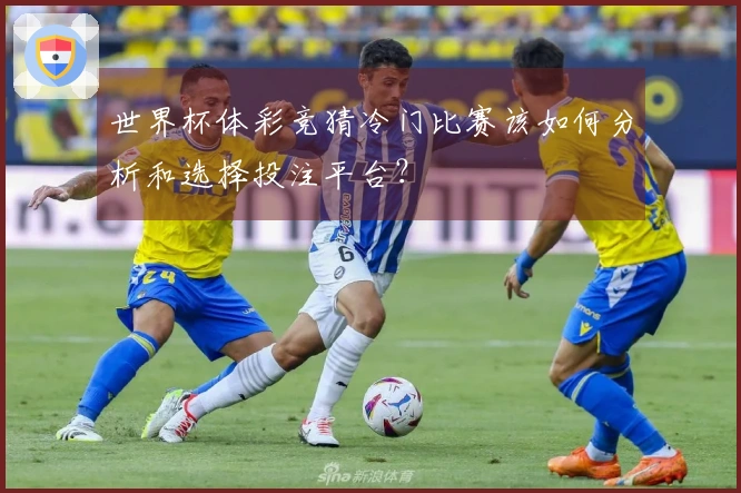 世界杯体彩竞猜冷门比赛该如何分析和选择投注平台？