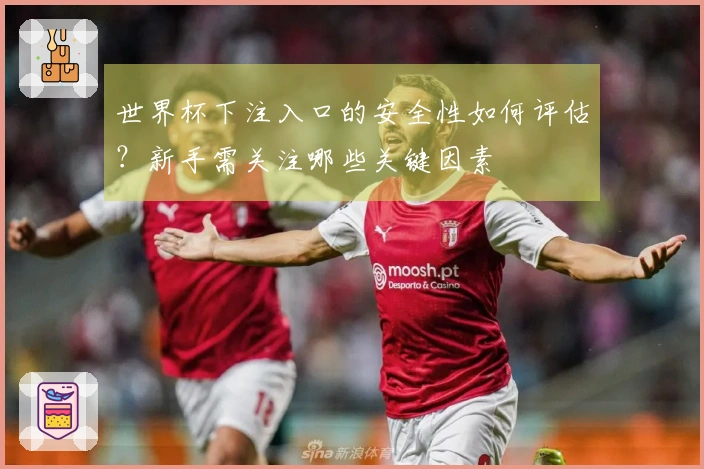 世界杯下注入口的安全性如何评估？新手需关注哪些关键因素